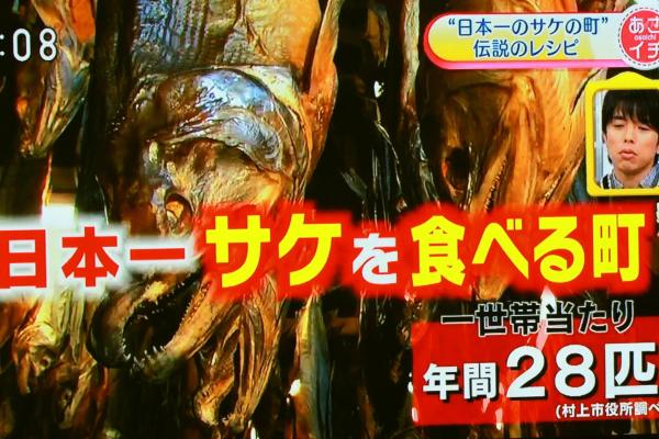 日本一鮭を食べるまち