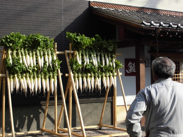 これから1か月以上かけて、しっかりと寒干しに