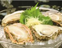 肉厚で濃厚な天然岩牡蠣は夏の日本海からの恵み