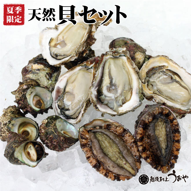 天然貝セット（岩牡蠣、アワビ、サザエ）　