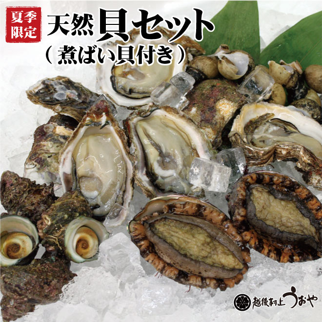 日本海天然貝セット 岩牡蠣 アワビ サザエ 煮バイ貝 鮭の町村上で創業0年の老舗 越後村上うおや