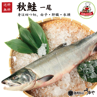 【送料無料】秋鮭（雄）4.5kg一尾