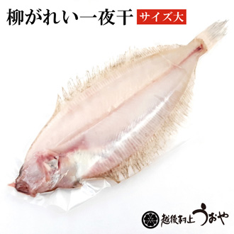 柳カレイ一夜干(大サイズ）