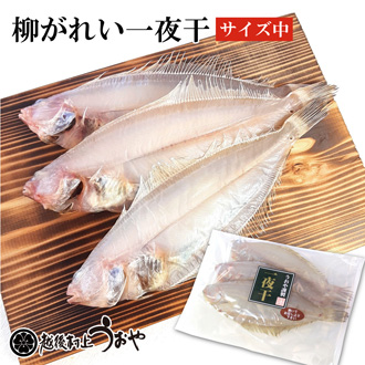 柳カレイ一夜干(中サイズ）