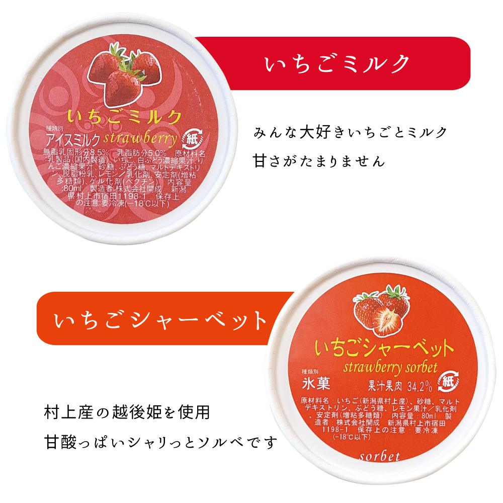 春季限定ジェラート10個詰合せ