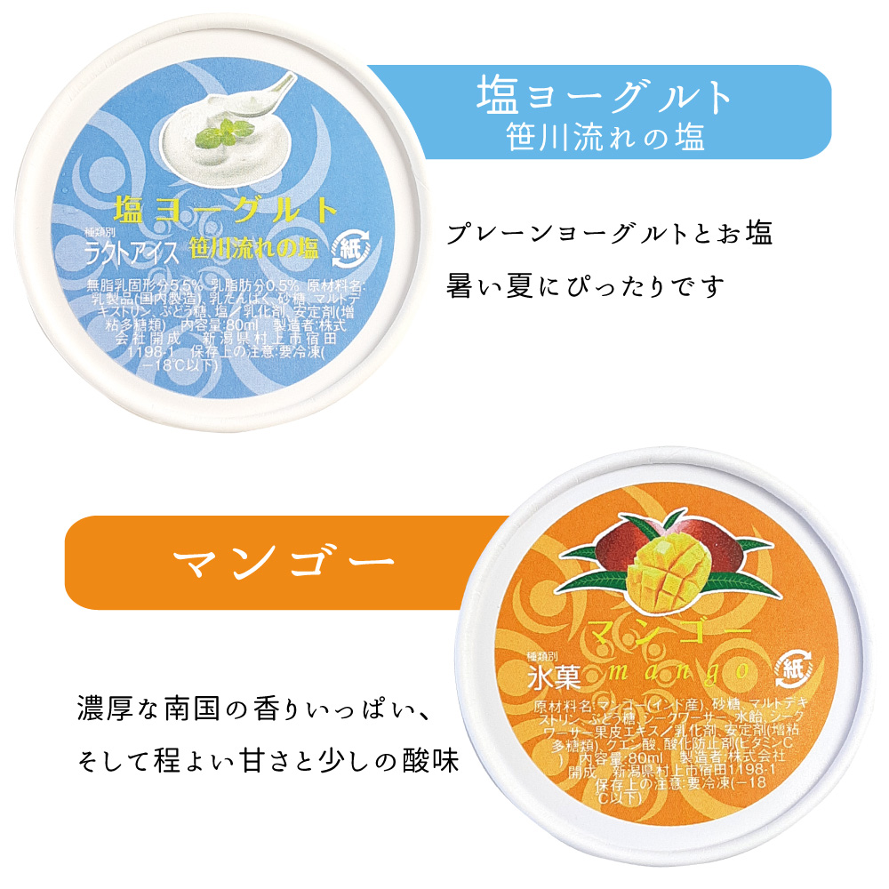 夏季限定ジェラート10個詰合せ