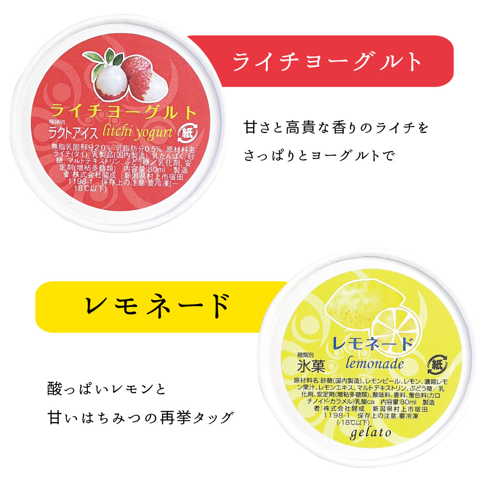 夏季限定ジェラート10個詰合せ