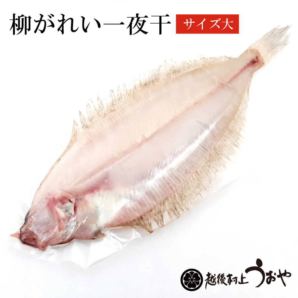 柳カレイ一夜干 大サイズ